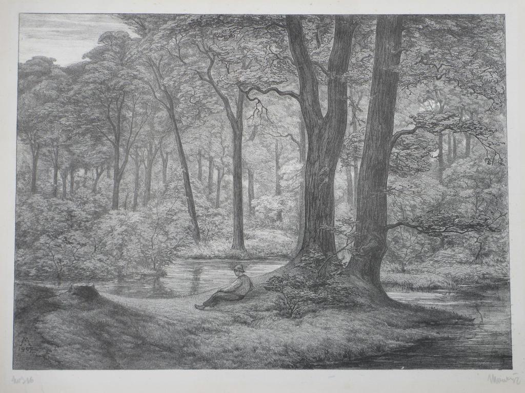 Simon Moulijn, Teutoburgerwoud, Litho 1907 verkocht voor € 50!