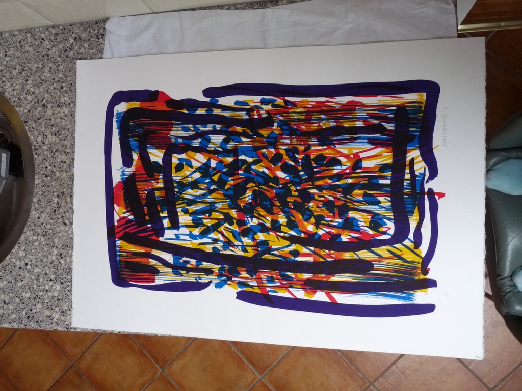 mooie kleur lithografie van Gerrit Westerveld kopen? Bied vanaf 50!