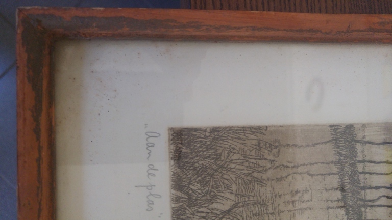 C.M. vd Woerd - Aan de plas. 36/100 kopen? Bied vanaf 1!