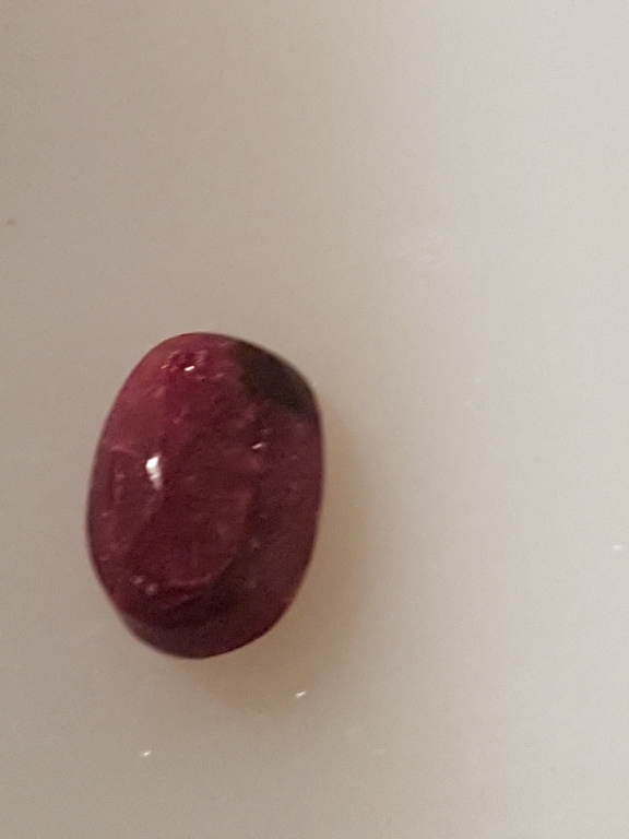 Duif bloed robijnen-lotto 01 kopen? Bied vanaf 1!