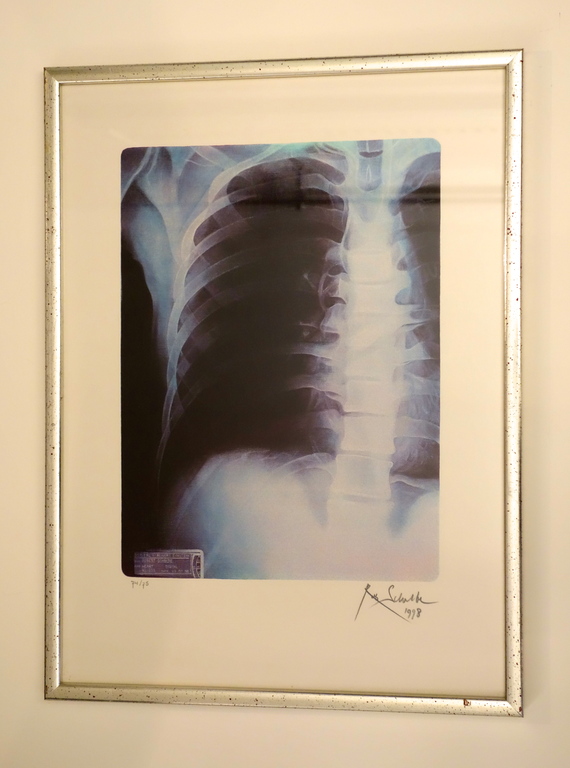 Rob Scholte - De Digitale Thorax verkocht voor € 110!