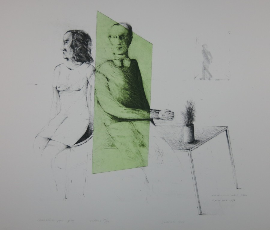 Kees Spermon: Zeefdruk, Conversation piece green kopen? Bied vanaf 50!