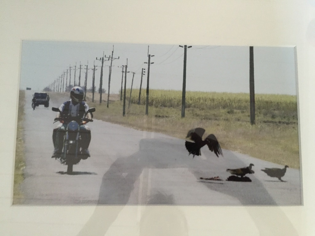 NICO KOSTER CUBA CORNEILLE verkocht voor € 131!