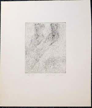 Kees Spermon - Kees Spermon oplag 4/25 beeldformaat 19.8 x 16 cm. bladformaat 41.4 x 35.7 cm. verkocht voor € 75!