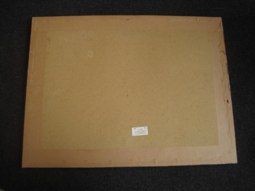 Originele Inkttekening "polderlandschap Zuid Holland" van Willem Minderman 1960 kopen? Bied vanaf 1!