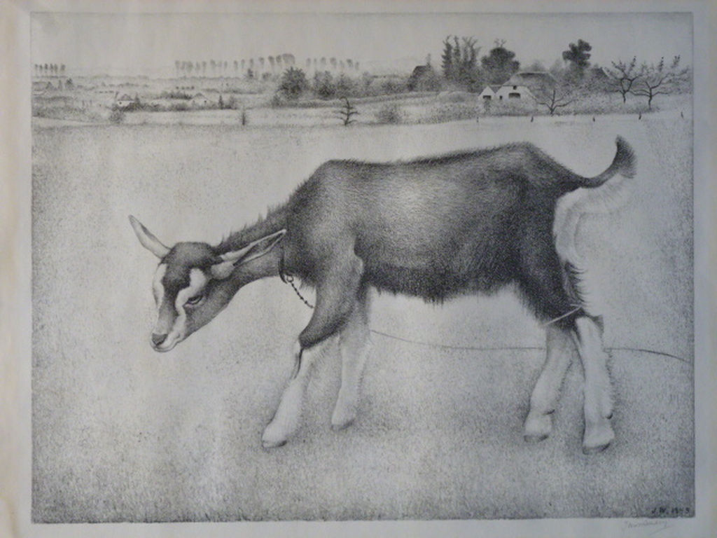 Jan Wittenberg - litho - Geit in de weide verkocht voor € 100!