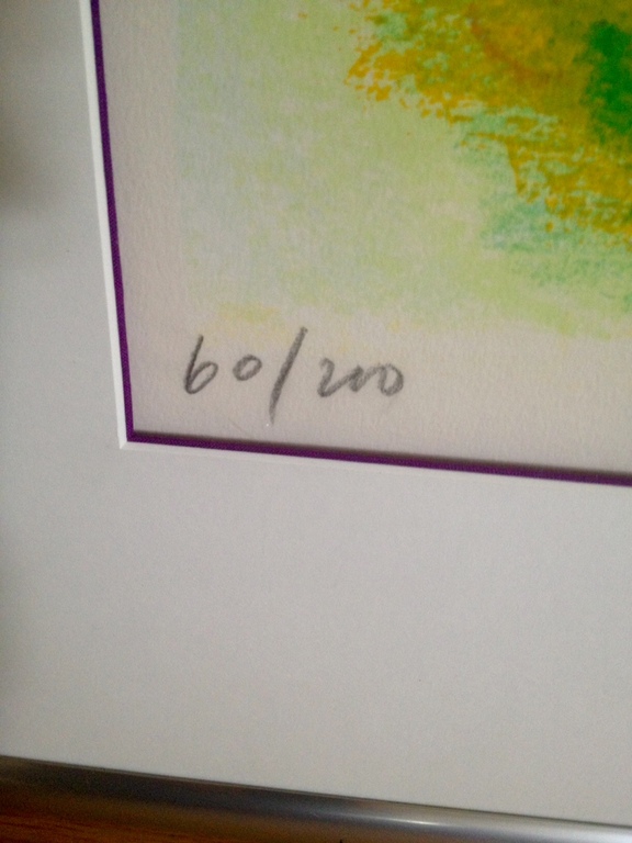 Jan Cremer, zeefdruk, Twee tulpen kopen? Bied vanaf 450!