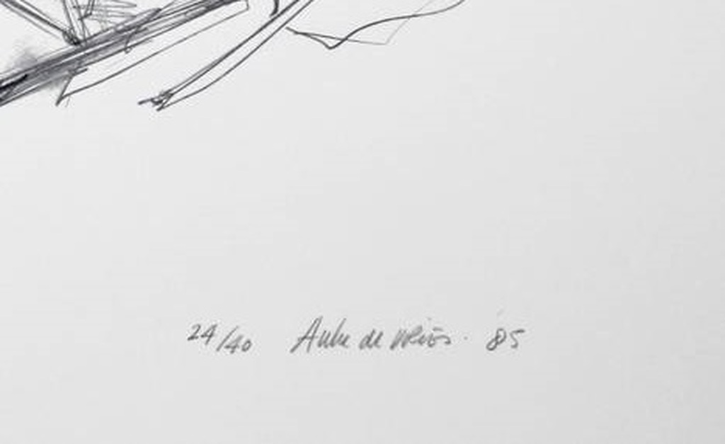 Auke de Vries -  Litho - Vlucht kopen? Bied vanaf 79!