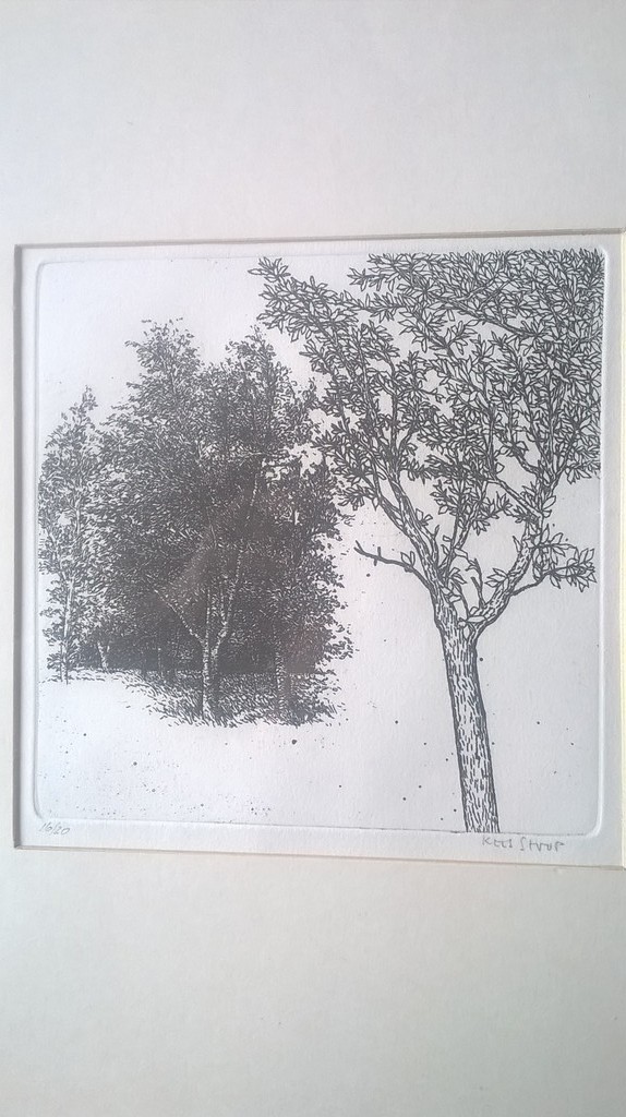 Kees Stoop, Geen titel  Ets, genummerd  kopen? Bied vanaf 25!