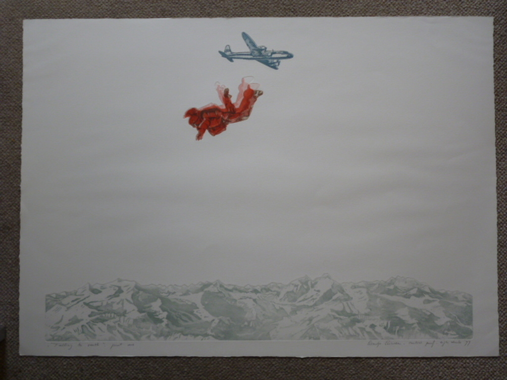 Leentje Linders - kleurenets - "Falling to earth part one" kopen? Bied vanaf 40!