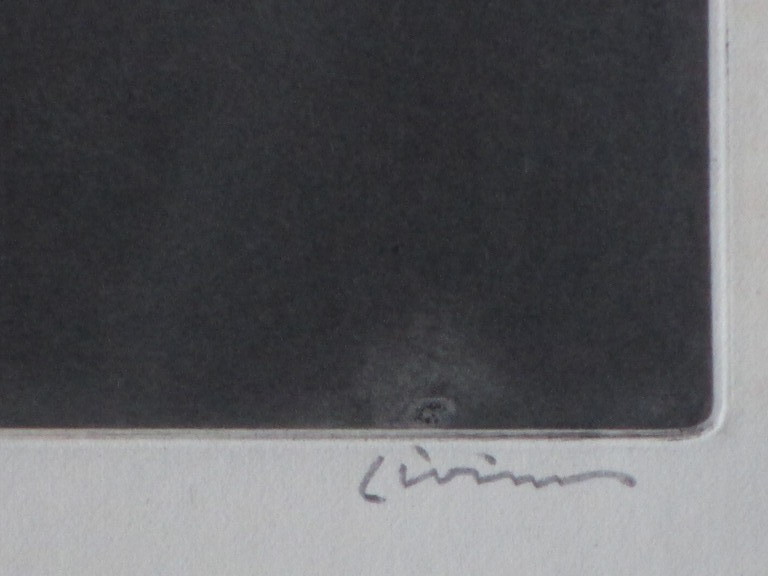 AcheterLivinus van de Bundt, De Vertwijfelde, Naaldgravure? Enchérissez de 25!