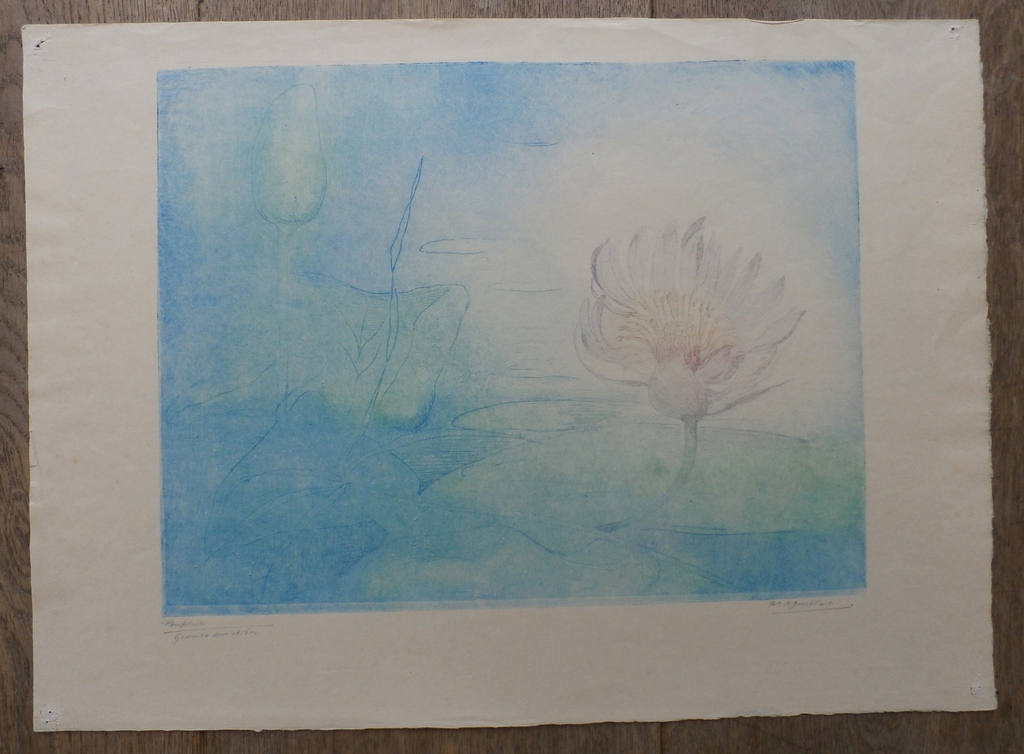 Frederika Broeksmit - Kleurenlitho: Slootje met waterlelie  kopen? Bied vanaf 55!