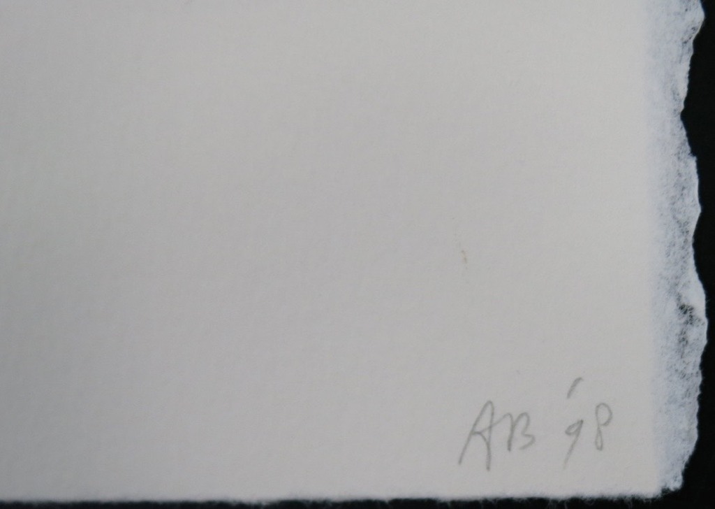  Ansuya Blom (1956)   Favoriet! Grafiek - handgesigneerd FAVORIET ITEM VEILINGGE kopen? Bied vanaf 1!