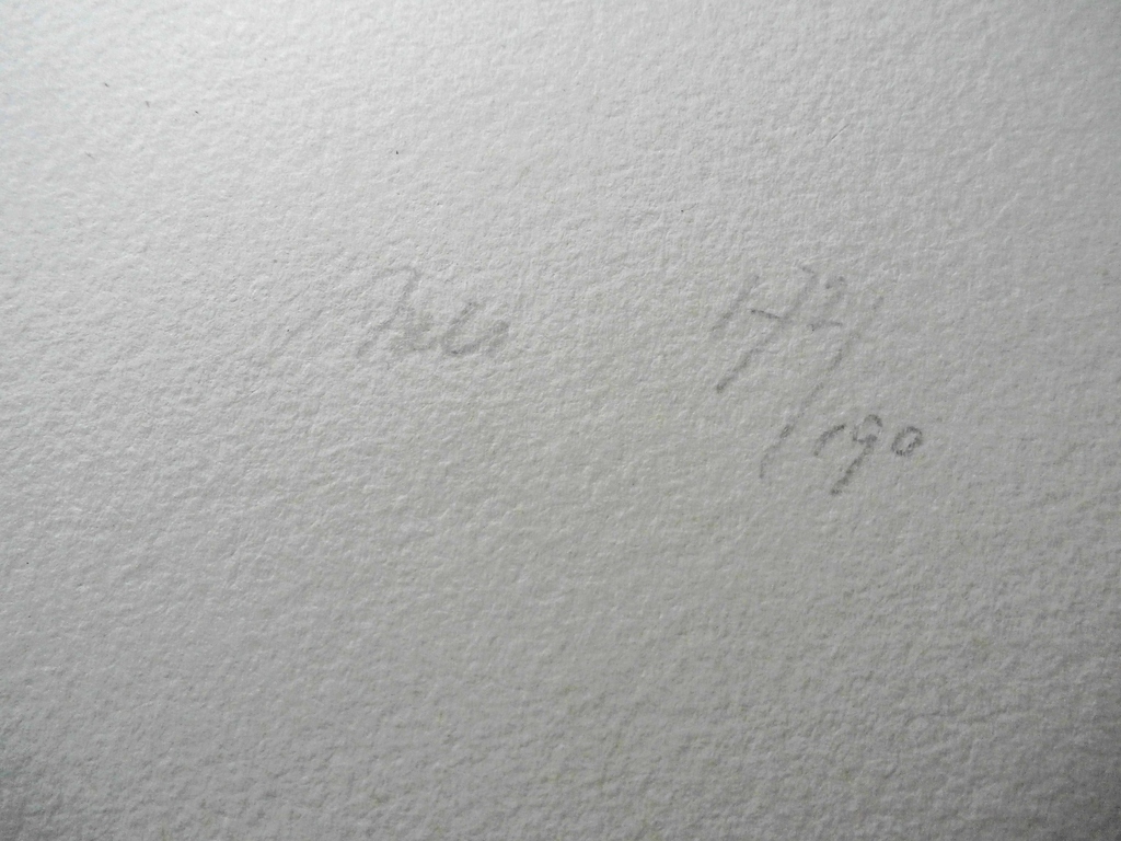 Han Mes - litho kopen? Bied vanaf 15!