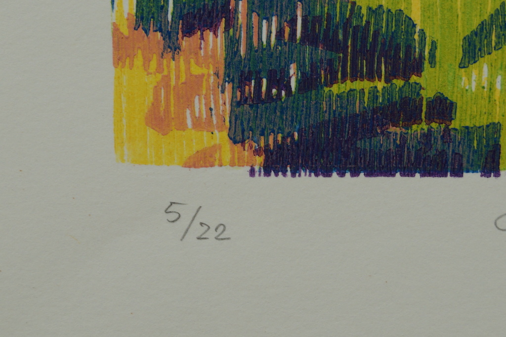 Angenelle Thijssen - gesigneerde houtsnede - Tegenlicht - 2004 kopen? Bied vanaf 20!