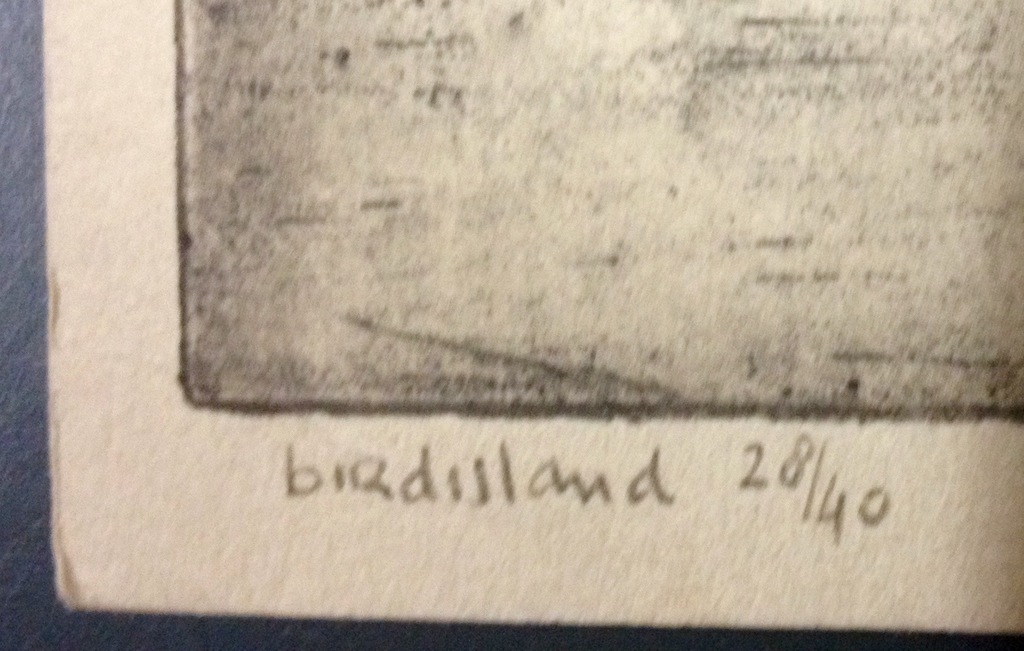 Ru van Rossem, kleurenlitho, "Birdisland" kopen? Bied vanaf 55!