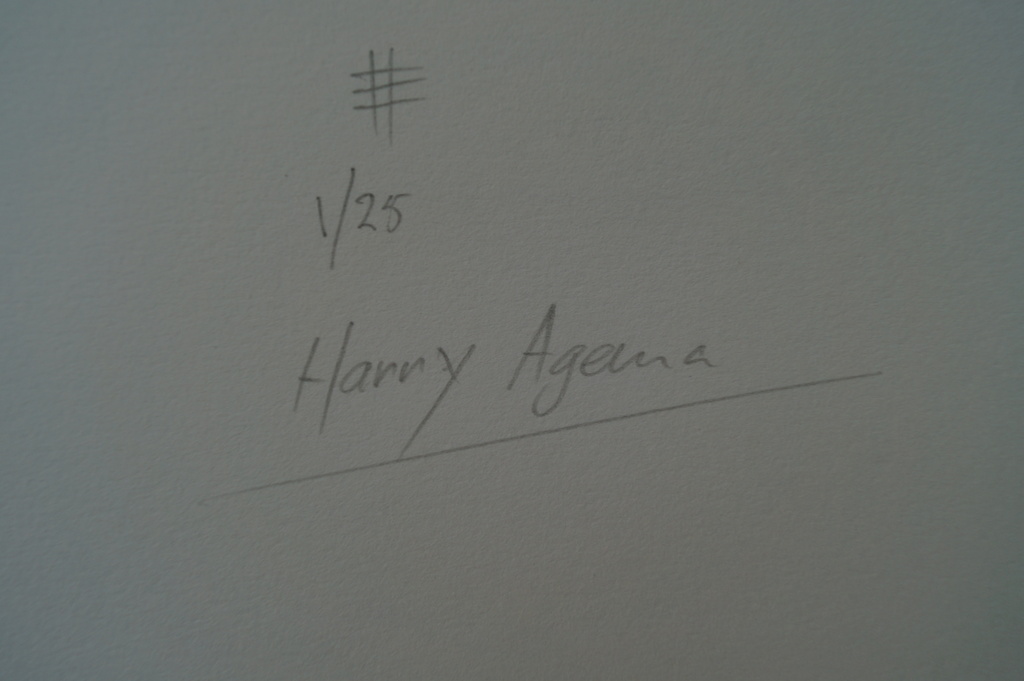 Harry Agema - gesigneerde zeefdruk - handlijn compositie kopen? Bied vanaf 15!