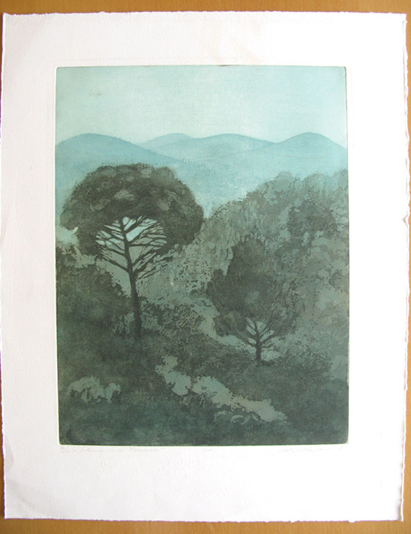 Willy Belinfante - SCHEMER IN DE PROVENCE - kleurets kopen? Bied vanaf 1!