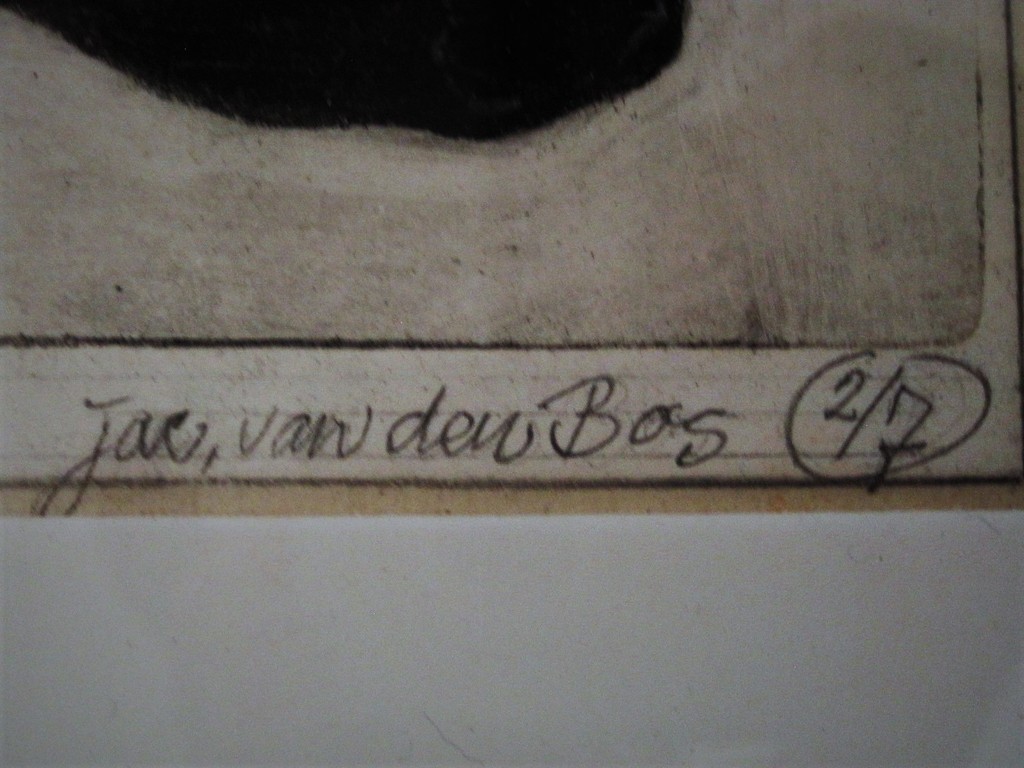 Exclusieve bep. Oplage 2/7 Litho "Water en Vuur 2000" gesigneerd Jan vd Bos 1952 kopen? Bied vanaf 1!