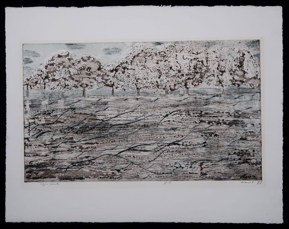 Diane Lekkerkerker: Ets, Zonder titel kopen? Bied vanaf 1!