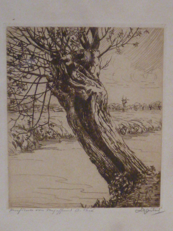 Dirk Harting - ets - Wilg kopen? Bied vanaf 25!