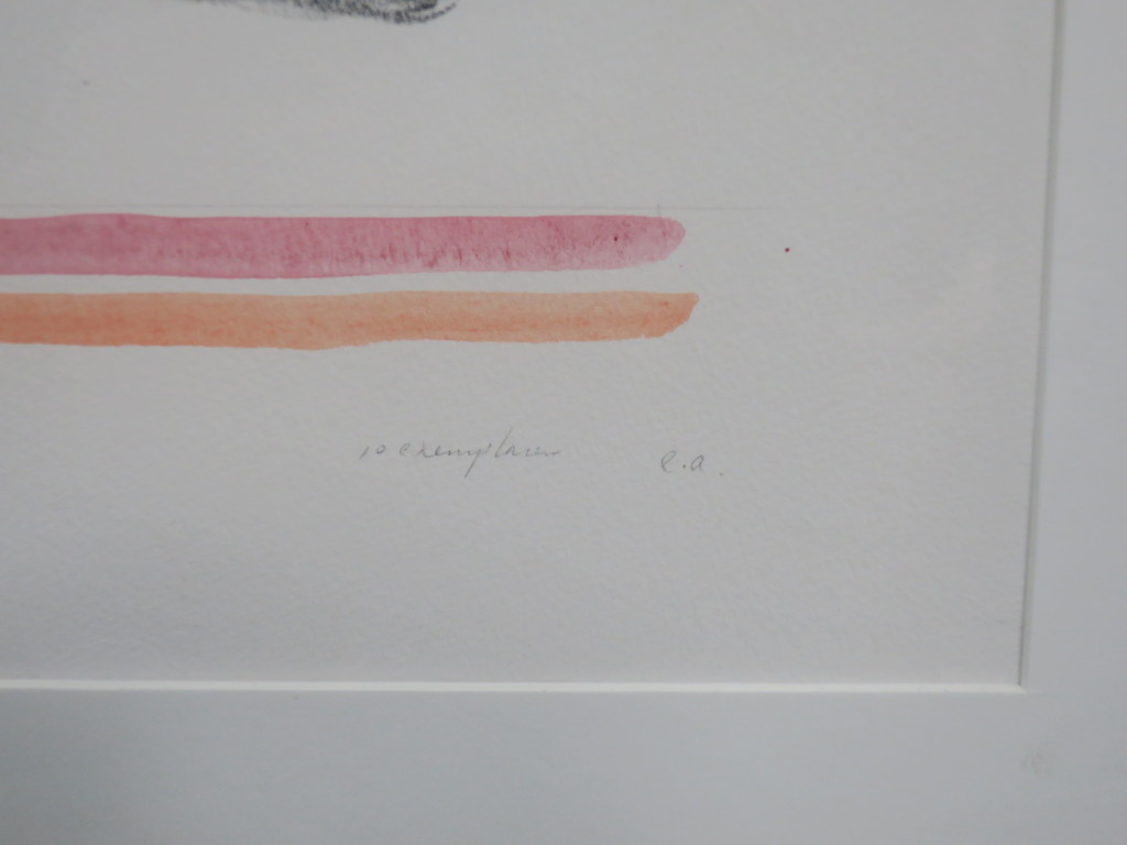 Jaap Hillenius: Handgekleurde Litho, Met wit licht - Ingelijst kopen? Bied vanaf 35!