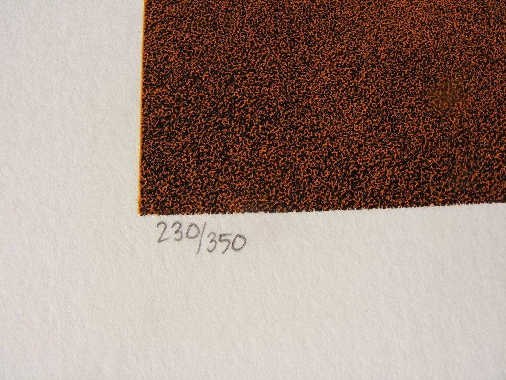 Rafal Olbinski, "She Stoops To Folly", originele lithografie, handgesigneerd! kopen? Bied vanaf 260!