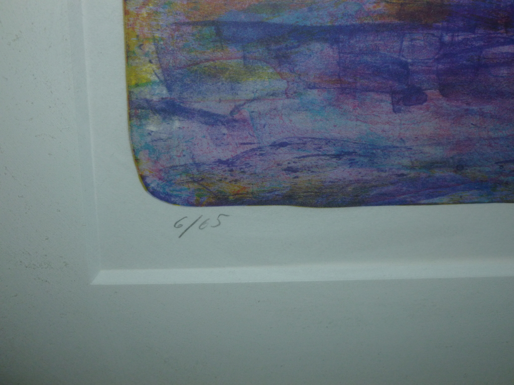 Prachtige kleurenlitho,in beperkte oplage,genummerd,gedateerd en gehandtekend. kopen? Bied vanaf 295!