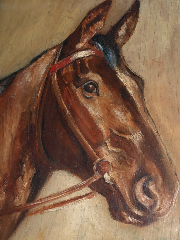 HERMANN THIERER (1882-?)–Olieverf –Paardenportret–Gesigneerd & ingelijst–ca 1930 kopen? Bied vanaf 1!
