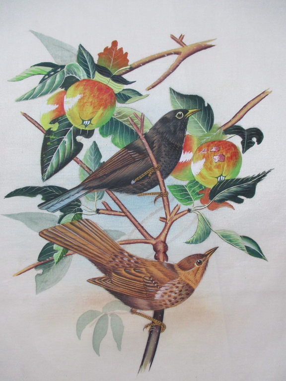 4x Handbeschilderde zijden doek; Vogels kopen? Bied vanaf 15!