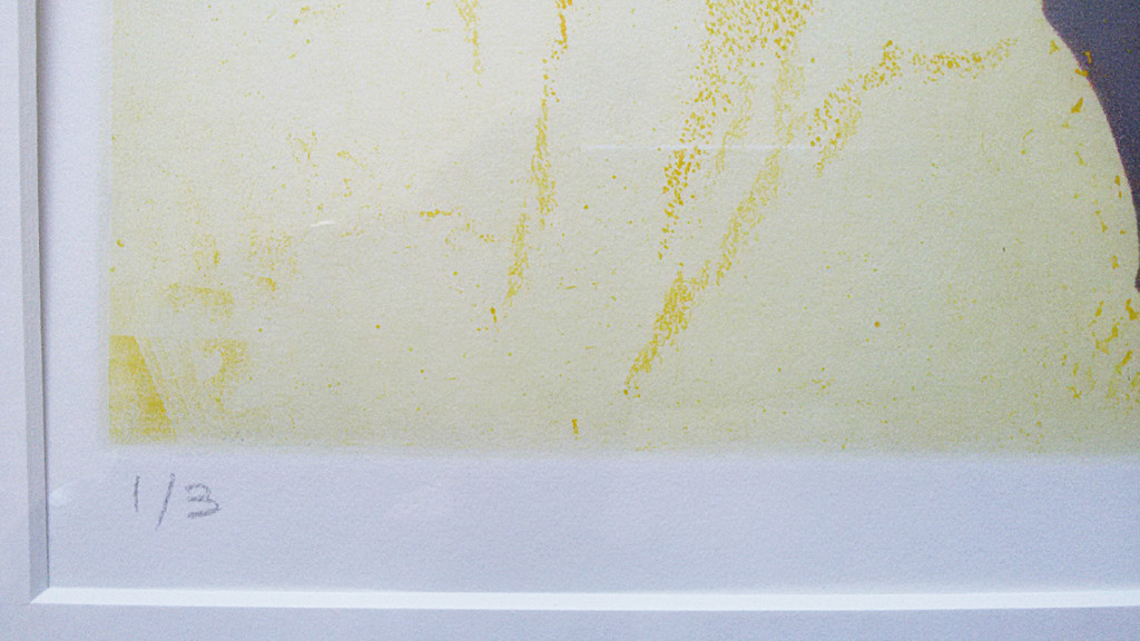 Nono Reinhold - Quadriptych, aquatint ets vierluik (ingelijst, zeer groot) kopen? Bied vanaf 95!