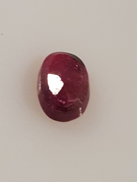 Duif bloed robijnen-lotto 01 kopen? Bied vanaf 1!