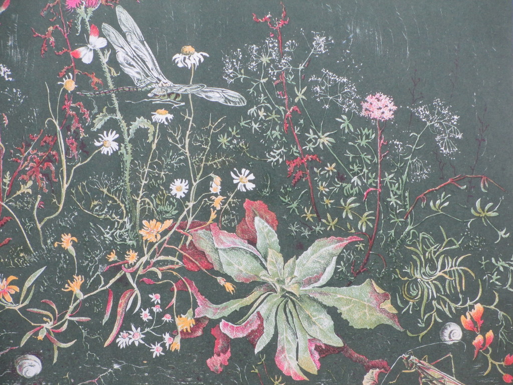 Wim Schuhmacher, Planten en insekten, Kleurenlitho kopen? Bied vanaf 30!