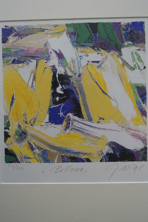  JAS. Zeer Kleurrijke Zeefdruk.  kopen? Bied vanaf 79!