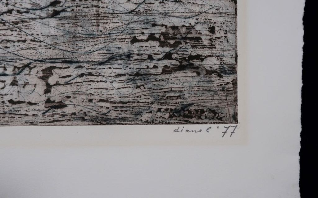 Diane Lekkerkerker: Ets, Zonder titel kopen? Bied vanaf 1!