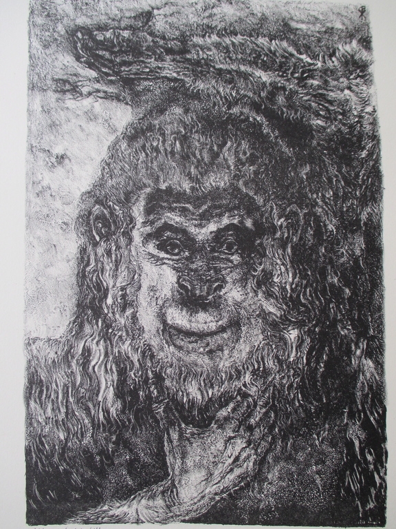 Onbekend, litho "Missing Link" kopen? Bied vanaf 10!