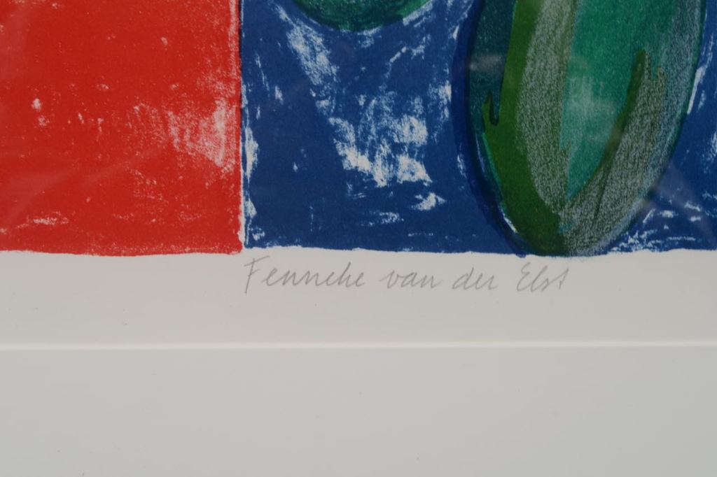 Fenneke van der Elst: Litho, Villa Diana - Ingelijst (Groot) kopen? Bied vanaf 1!