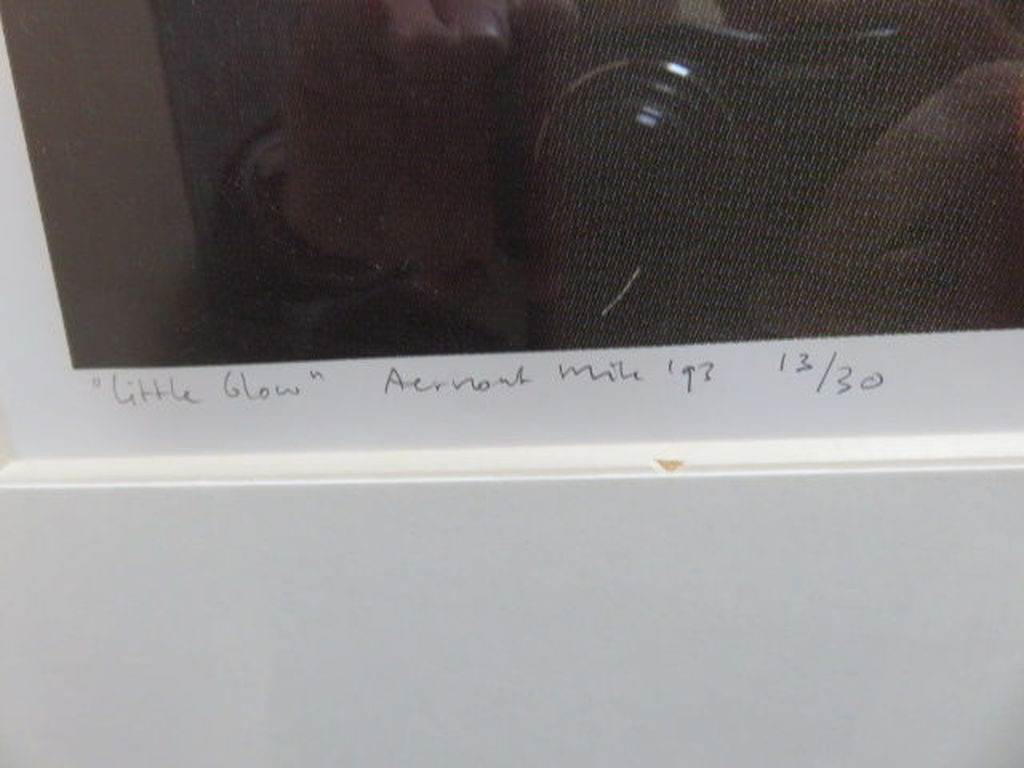 Aernout Mik  gesigneerde zeefdruk oplage 30 ex.     13/30 kopen? Bied vanaf 200!