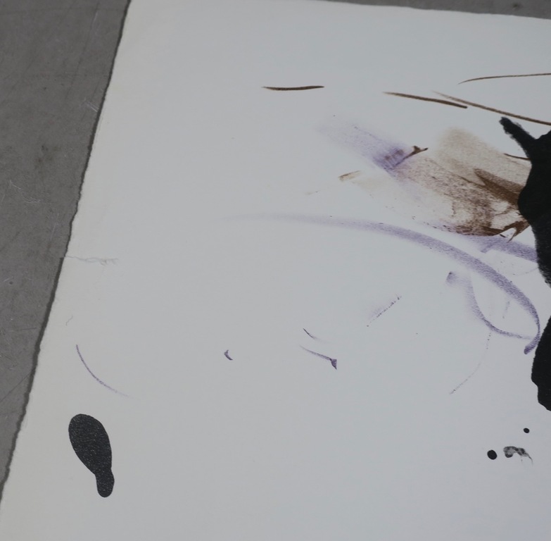 Ger Lataster: Litho, Het been kopen? Bied vanaf 1!