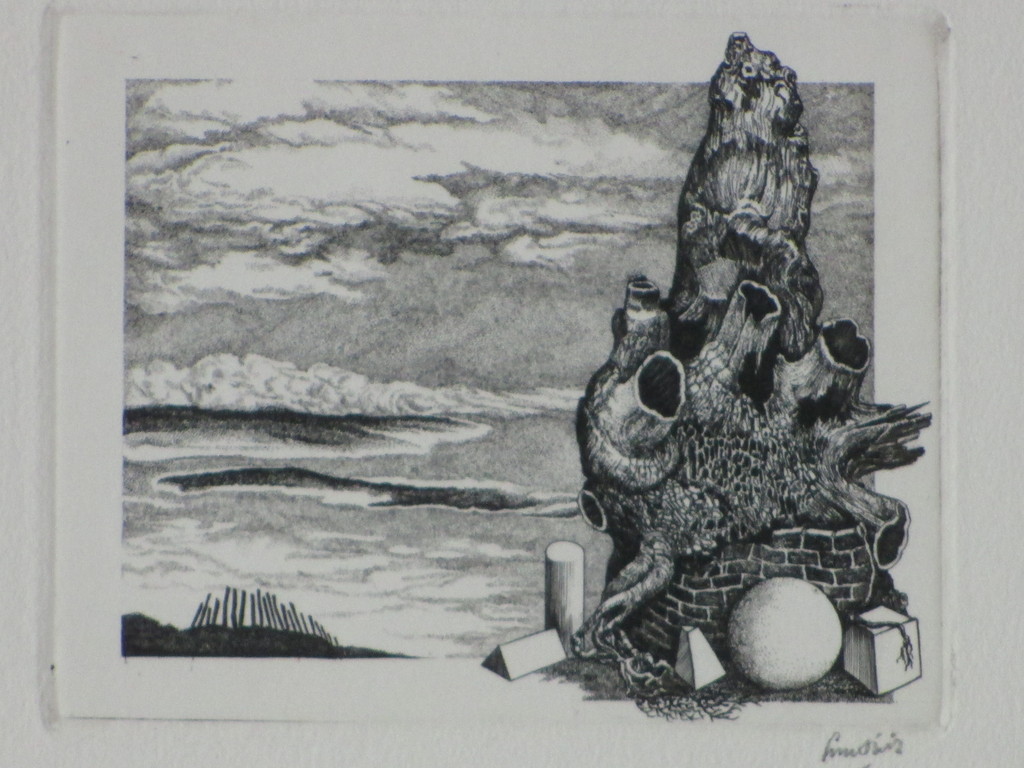 Lou Strik - Lou Strik, Gevormd door de elementen, Ets kopen? Bied vanaf 1!