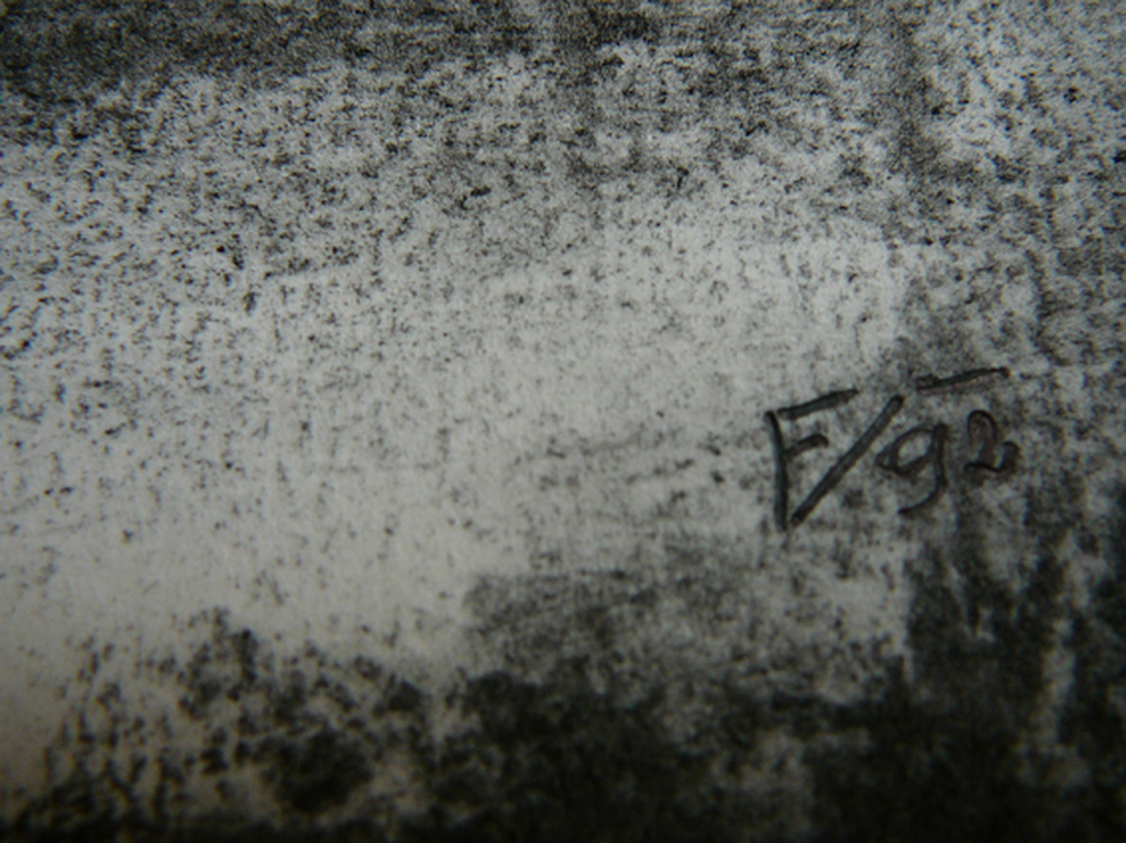 'Nevel over Polderlandschap' -houtskooltekening 1992- kopen? Bied vanaf 39!