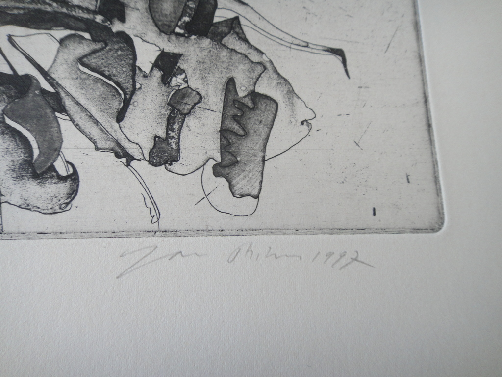 Jan Prins (1956) - (zeldzame) ets - tropische bloemen II kopen? Bied vanaf 1!