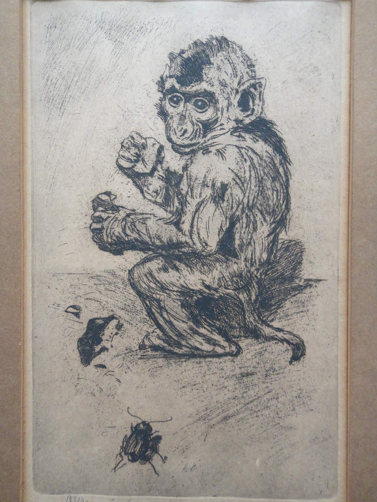 Cornelis Jan Mension, ets, aapje met kever kopen? Bied vanaf 50!