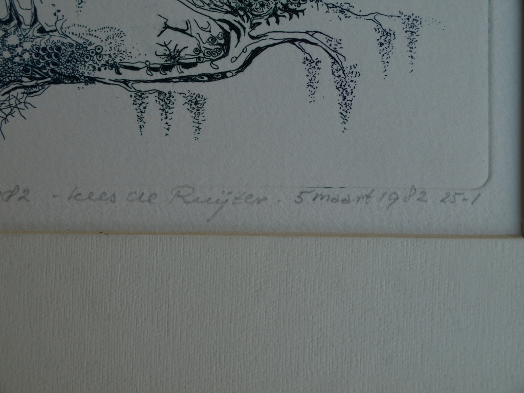 Kees de Ruijter : Ets , Wandbouquet – gesigneerd - 1982 kopen? Bied vanaf 10!