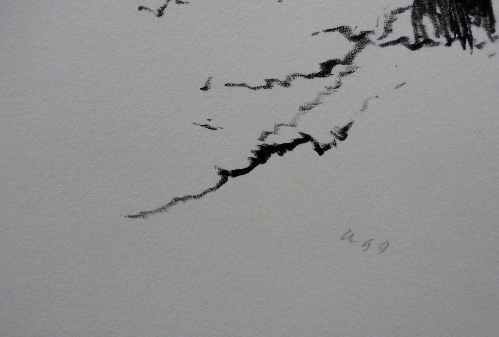 Armando - litho: confrontaties tussen potlood en papier (bomen)  kopen? Bied vanaf 260!