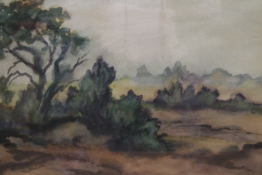 Thijs Mauve (1915-1996) - aquarel - duinlandschap kopen? Bied vanaf 95!