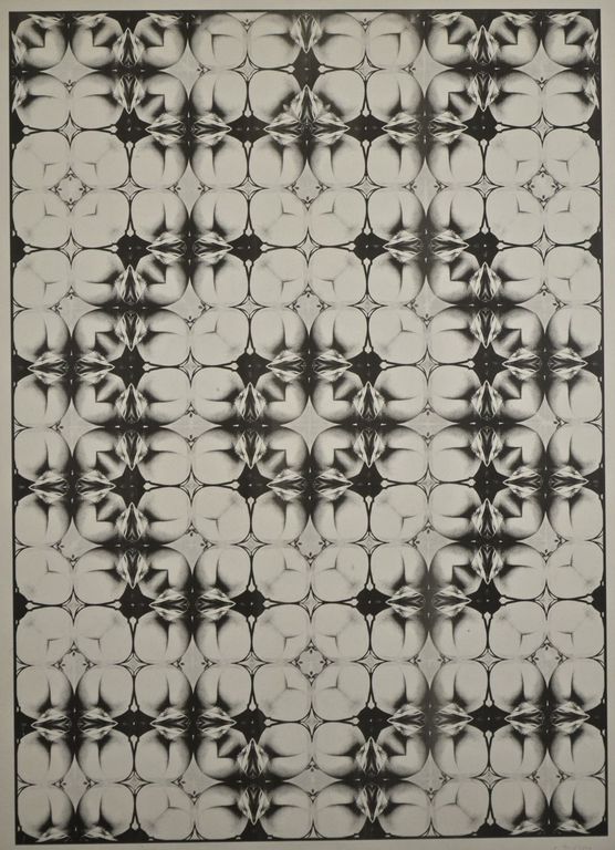 Shinkichi Tajiri: Offset. My secret garden number 9 verkocht voor € 90!