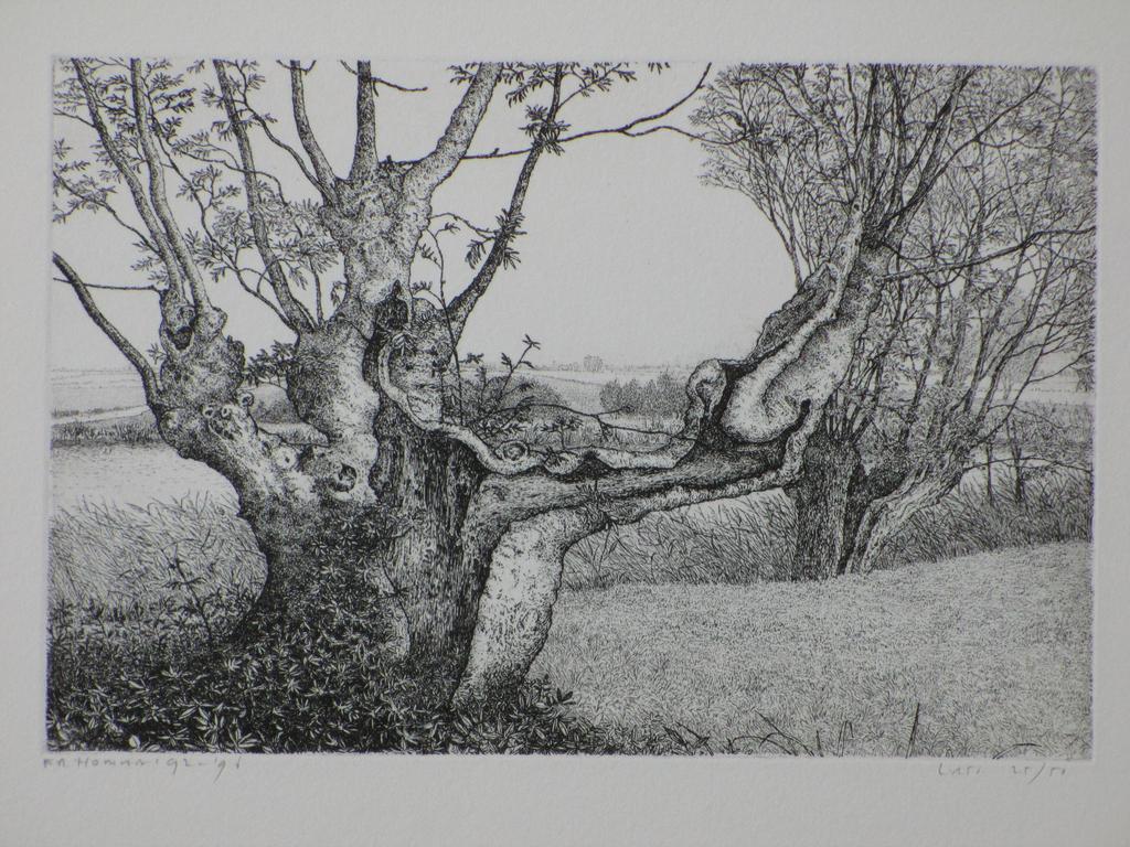 Reinder Homan, Knotwilgen in landschap, Ets verkocht voor € 36!