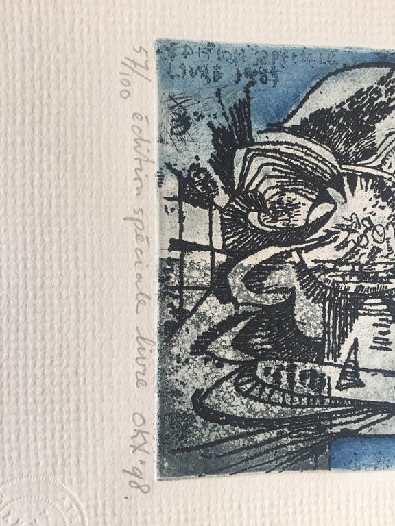 Kees Okx: l'éfferverscence d'etre, ets  kopen? Bied vanaf 75!