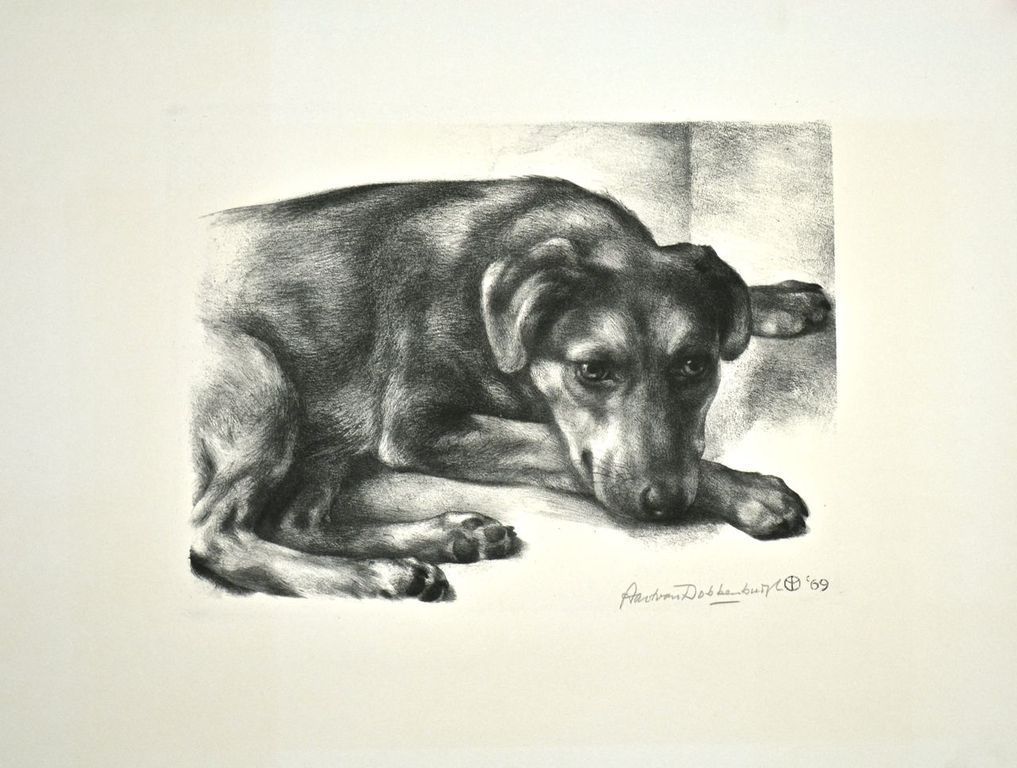 Aart van Dobbenburgh. -Hondje-  Litho. Handgesigneerd. 1969 kopen? Bied vanaf 55!